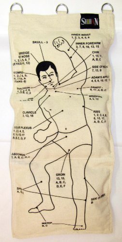 Nws Kung Fu Wall Canvas Strike Bag 3 Section STRIKING POINTS -TORSO DESIGN