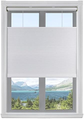 Calyx Interiors Top Down Bottom Up 3/8" Single Light Filtering Cordless Cellular Shades TDBU, 31" W x 60" H, White