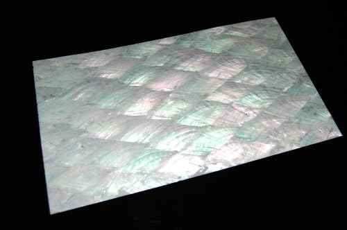 Donkey Ear Shell Veneer Sheet