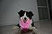 BINGPET Dog Birthday Girl Bandana Pet Scarf Light Pink