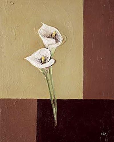 Posterazzi Calla lilly on brown Poster Print by Hedy (8 x 10)