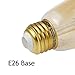 GMY LED Edison Light Bulb E26 3W Equivalent to 20W 120V Dimmable 2200K Warm White Vintage LED Filament Bulb Amber Pack of 4