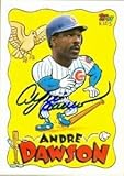 Andre Dawson