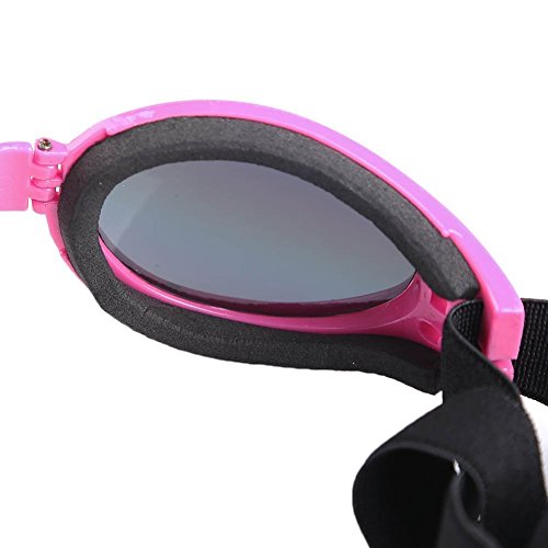 QUMY Dog Goggles Eye Wear Protection Waterproof Pet Sunglasses for Dogs