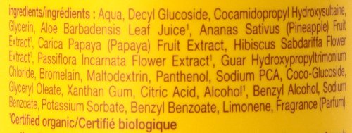 Alba Botanica Hawaiian, Pineapple Enzyme Facial Cleanser, 8 Ounce (Pack of 2)