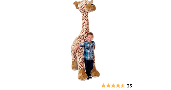 bull daniff for sale