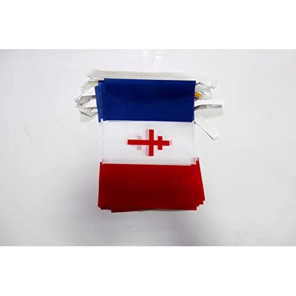 AZ FLAG Free France 1940-1944 Bunting Flag, 20 Ft Garland 20 Small French resistance Flags 8'' x 6'', 100% Polyester String Pennant, 6 meters