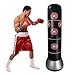 Pure Boxing MMA Target Bag Inflatable Punching Bag primary