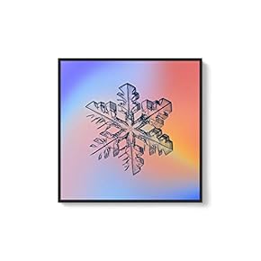 Framed Canvas Wall Art for Living Room, Bedroom Snowflake Theme Canvas Prints for Home Decoration Ready to Hang - 16x16 inches