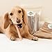 Pawstruck Straight Bully Sticks For Dogs Small Thickness-Low Odor Bulk Dental Treats Thick Pizzle Chew Stix 7 Inch 25 Stick(s)