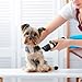 PIXNOR Dog Grooming Clippers, Cordless Pet Clippers Low Noise Dog Grooming Kit Rechargeable Dog Clippers 6Pcs Dog Shaver with 4 Comb, Quiet Electric Cat Shears for All Pets