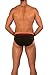 Obviously Apparel Lumber Collection - AnatoFREE Hipster Brief - Deep Forest - Large