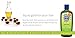Kiss My Face Whenever Shampoo, Shampoo with Green Tea & Lime, 11 Ounce (Pack of 3)