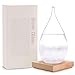 Time Cat Creative Stylish Carving commemorative edition Storm Glass Crafts Weather bottle Forecast Bottle Barometer weather glass (Large)