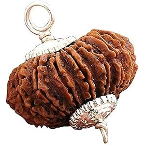 Original 16 Mukhi Rudraksha | Certified Natural Nepali 16 Mukhi Rudraksha Bead | Brown Sacred Bead with Natural Lines | Silve