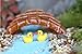 20pcs Miniature Dollhouse Bonsai Fairy Garden Landscape Duck Decor