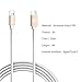 Type C to Lightning Cable,Baseus USB C 3.1 Male to Lightning (1M/3FT) Sync & Data Charging Cord Wire Line for iPhone 5s/ 6 6s plus/7 7 Plus / iPad / New MacBook / Chromebook Pixel / HP Pavilion,Gold
