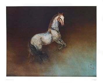 Amazon.com: Stallion by Kaiko Moti. Caballo Blanco. Fine Art ...