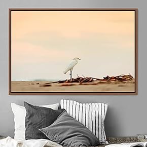 signwin Framed Canvas Wall Art Bird on The...