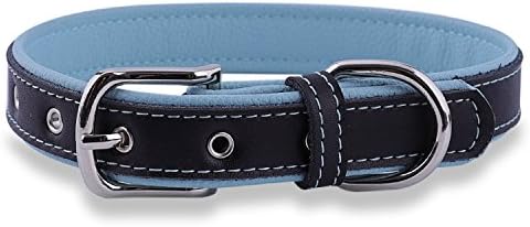 Epic Rogue Leather Dog Collar and Cat Collar, Soft Padded Genuine Leather Pet Collar for Female Male Cats Puppy and Small Medium Large Dogs