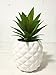 White Porcelain Pineapple Ananas Faux Plant Potted Artificial Succulent 7.8