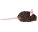 Interactive Dog Toys for Large/Medium/Small dogs,Stimulating Flopping Fish Dog Toy for Puppy,Tough Squeaky Plush Shark Dog Toys,Motion Activated,Rechargeable (Electric Fish Toys) (Robotic Ball Toy)