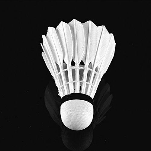 ZCQS 12-pack Badminton Balls Feather White Goose Feather Shuttlecocks for Training, Game, Match, Outdoor Sports Exercise