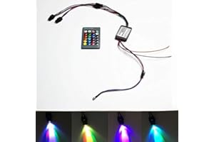 YWEWY Mini IIIuminator Car Use 12V Two Heads LED Light Source 24Key IR Remote for PMMA Plastic Optic Fiber Side Glow Cable (RGB)