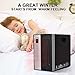 Portable Space Heater, 1500W Electric Heater with 3 Modes, Timer Setting, Remote Control Portable Cabinet Heater Intelligent Programmable Thermostat, Energy-Saving Indoor Infrared Heater for Home