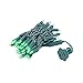 Novelty Lights 11ft 50 LED Green Christmas Lights Outdoor/Indoor, 2.5