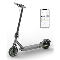 Roinside Electric Scooter - 8.5