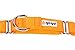 GOGO Pet Products 3/4-Inch Martingale Dog Collar, Medium, Orange