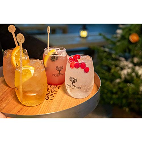 Fever Tree Ginger Ale 24 x 0,2 Liter – Bild 8