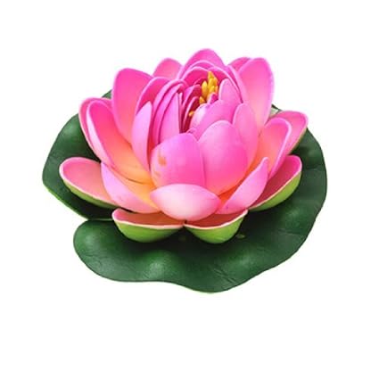 Amazoncom Edealmax Jardin Décoratif Fleur De Lotus