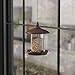 Amazon Basics Basic Bird Feeder
