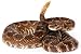 Snake Gaiters - Snake Bite Protection - Khaki Tan (XLarge)