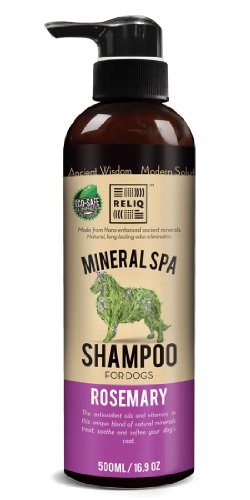 RELIQ Mineral SPA Shampoo, Rosemary