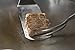Turner Spatula Set by Oliver Rocket - Commercial Grade Stainless Steel Spatulas for Teppanyaki Grill, Hibachi Grill, or Griddle Grill