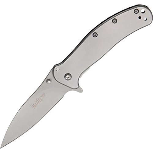 Best kershaw leek speedsafe knife