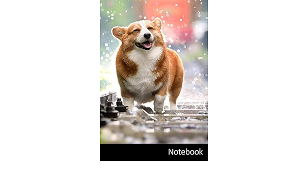 Notebook ペット 犬 コーギー かわいいです ノートブック 日記 ライティングブック ノート 6 X 9インチ 15 24 X 22 86 Cm 150ページ 光沢のある表面 ペット 犬 コーギー かわいいです ノートブック 日記 ノートブック Amazon Com Notebook ペット 犬 コーギー かわいいです ノートブック 日記 ライティングブック ノート 6 X 9インチ 15 24 X 22 86 Cm 150ページ 光沢のある表面 ペット 犬 コーギー かわいいです ノートブック 日記 ノートブック Amazon Com