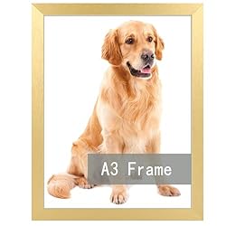 RUN HELIX A3 Picture Frame Gold for Wall
