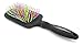 Celavi Rainbow Detangler Professional Salon Hair Brushes (Rectangle Head)