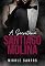 Livro A secretária: Santiago Molina (Família Molina Livro 2)