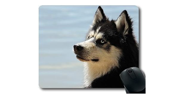 Amazon Com Bglkcs Custom Mouse Pad Golden Retriever Puppy Dog