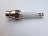 The Spark Plug