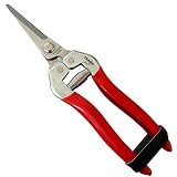TABOR TOOLS Pruning Shears, Florist Scissors, Multi-Tasking Garden Snips for Arranging Flowers, Trimming Plants and Harvesting Herbs, Fruits or Vegetables. K17A. (Straight, Stainless Steel Blades)&nbsp;