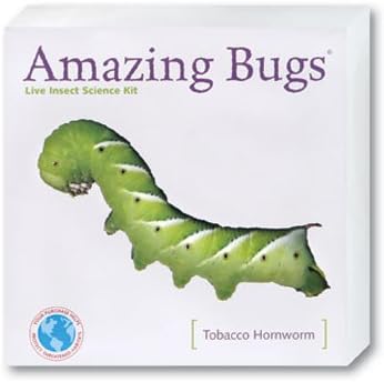 Hornworm Amazing Bugs Kit with Prepaid Coupon
