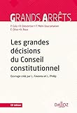 Les grandes décisions du Conseil constitutionnel - 19e éd. by 