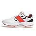 Gray Nicolls Velocity 2.0 Spike Menâ€s Cricket Shoes