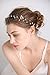 fxmimior Bridal Wedding Crystals Long Hair Vine Wedding Evening Party Headpiece (gold)